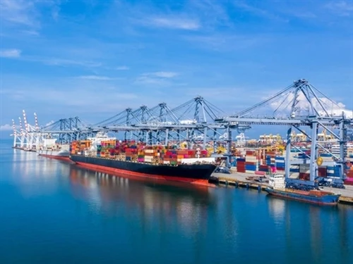 Thị trường container tháng 10
